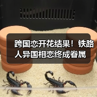 跨国恋开花结果！铁路人异国相恋终成眷属