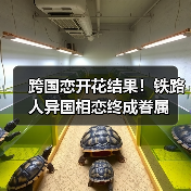 跨国恋开花结果!铁路人异国相恋终成眷属(图3) 跨国恋开花结果!铁路人异国相恋终成眷属(图3)