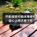 热轧板卷价格未来走势：重心上移还是下移？