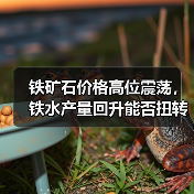 铁矿石价格高位震荡，铁水产量回升能否扭转局面？
