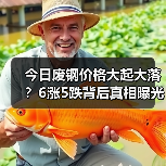 今日废钢价格大起大落？6涨5跌背后真相曝光