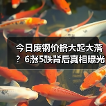 今日废钢价格大起大落?6涨5跌背后真相曝光(图4) 今日废钢价格大起大落?6涨5跌背后真相曝光(图4)