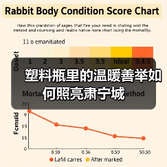 塑料瓶里的温暖善举如何照亮肃宁城