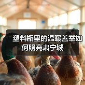塑料瓶里的温暖善举如何照亮肃宁城(图2) 塑料瓶里的温暖善举如何照亮肃宁城(图2)