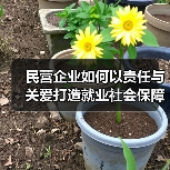 民营企业如何以责任与关爱打造就业社会保障典范？