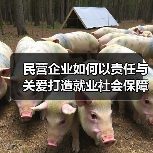 民营企业如何以责任与关爱打造就业社会保障典范?(图4) 民营企业如何以责任与关爱打造就业社会保障典范?(图4)