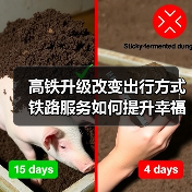 高铁升级改变出行方式 铁路服务如何提升幸福感？（图2）
