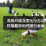 高铁升级改变出行方式 铁路服务如何提升幸福感？