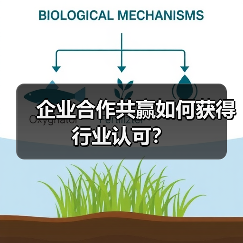 企业合作共赢如何获得行业认可？