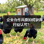 企业合作共赢如何获得行业认可?(图4) 企业合作共赢如何获得行业认可?(图4)