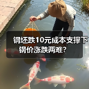 钢坯跌10元成本支撑下钢价涨跌两难？