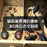 最新废钢调价信息：6涨5跌动态全解析