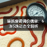 最新废钢调价信息:6涨5跌动态全解析(图4) 最新废钢调价信息:6涨5跌动态全解析(图4)