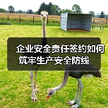 企业安全责任签约如何筑牢生产安全防线