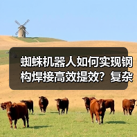 蜘蛛机器人如何实现钢构焊接高效提效?复杂环境解决方案(图3) 蜘蛛机器人如何实现钢构焊接高效提效?复杂环境解决方案(图3)