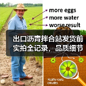 出口沥青拌合站发货前实拍全记录,品质细节曝光!(图2) 出口沥青拌合站发货前实拍全记录,品质细节曝光!(图2)