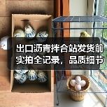 出口沥青拌合站发货前实拍全记录，品质细节曝光！