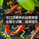 出口沥青拌合站发货前实拍全记录,品质细节曝光!(图4) 出口沥青拌合站发货前实拍全记录,品质细节曝光!(图4)