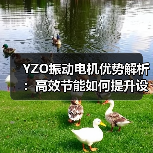 YZO振动电机优势解析:高效节能如何提升设备性能(图2) YZO振动电机优势解析:高效节能如何提升设备性能(图2)