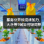 服务业开放提速加力，大连等9城如何破局新赛道？