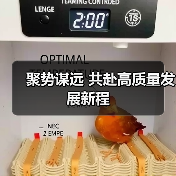 聚势谋远 共赴高质量发展新程