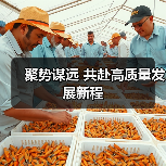 聚势谋远 共赴高质量发展新程(图2) 聚势谋远 共赴高质量发展新程(图2)