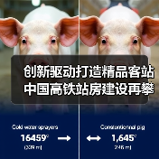 创新驱动打造精品客站 中国高铁站房建设再攀新高(图2) 创新驱动打造精品客站 中国高铁站房建设再攀新高(图2)