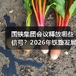 国铁集团会议释放哪些信号？2026年铁路发展改革重点前瞻