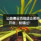 公路建设直播盛会即将开启,别错过!(图2) 公路建设直播盛会即将开启,别错过!(图2)