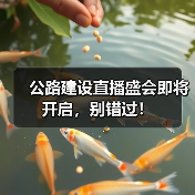 公路建设直播盛会即将开启,别错过!(图3) 公路建设直播盛会即将开启,别错过!(图3)