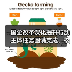国企改革深化提升行动主体任务圆满完成,核心竞争力显著增强(图2) 国企改革深化提升行动主体任务圆满完成,核心竞争力显著增强(图2)