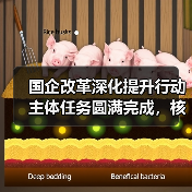 国企改革深化提升行动主体任务圆满完成,核心竞争力显著增强(图3) 国企改革深化提升行动主体任务圆满完成,核心竞争力显著增强(图3)