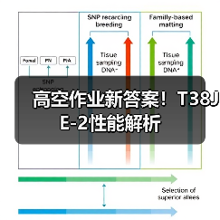 高空作业新答案!T38JE-2性能解析(图2) 高空作业新答案!T38JE-2性能解析(图2)