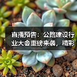 直播预告：公路建设行业大会重磅来袭，精彩纷呈！