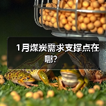 1月煤炭需求支撑点在哪？（图4）
