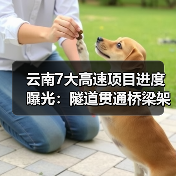 云南7大高速项目进度曝光:隧道贯通桥梁架设齐突破(图2) 云南7大高速项目进度曝光:隧道贯通桥梁架设齐突破(图2)