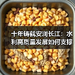 十年铸就安澜长江:水利高质量发展如何支撑经济带生态转型?(图1) 十年铸就安澜长江:水利高质量发展如何支撑经济带生态转型?(图1)