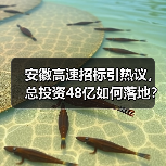 安徽高速招标引热议,总投资48亿如何落地?(图4) 安徽高速招标引热议,总投资48亿如何落地?(图4)
