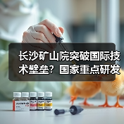 长沙矿山院突破国际技术壁垒？国家重点研发计划国际合作项目成功立项（图4）