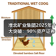 淮北矿业集团2025年十大突破：90%资产证券化率如何重塑产业格局？（图4）
