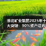 淮北矿业集团2025年十大突破：90%资产证券化率如何重塑产业格局？（图3）
