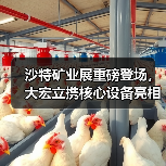 沙特矿业展重磅登场，大宏立携核心设备亮相（图1）