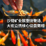 沙特矿业展重磅登场，大宏立携核心设备亮相（图3）