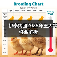 伊泰集团2025年重大事件全解析（图2）