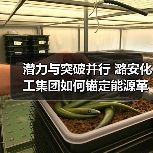 潜力与突破并行 潞安化工集团如何锚定能源革命新方向（图2）