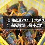 淮河能源2025十大新闻：能源转型与资本运作关键举措（图1）