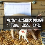 房地产市场四大关键词：筑底、出清、分化、转型预示未来趋势（图3）