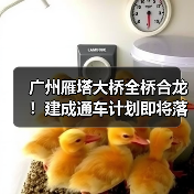 广州雁塔大桥全桥合龙!建成通车计划即将落地(图)(图1) 广州雁塔大桥全桥合龙!建成通车计划即将落地(图)(图1)