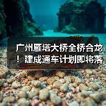 广州雁塔大桥全桥合龙!建成通车计划即将落地(图)(图3) 广州雁塔大桥全桥合龙!建成通车计划即将落地(图)(图3)