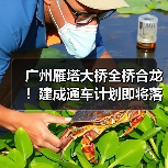广州雁塔大桥全桥合龙!建成通车计划即将落地(图)(图4) 广州雁塔大桥全桥合龙!建成通车计划即将落地(图)(图4)